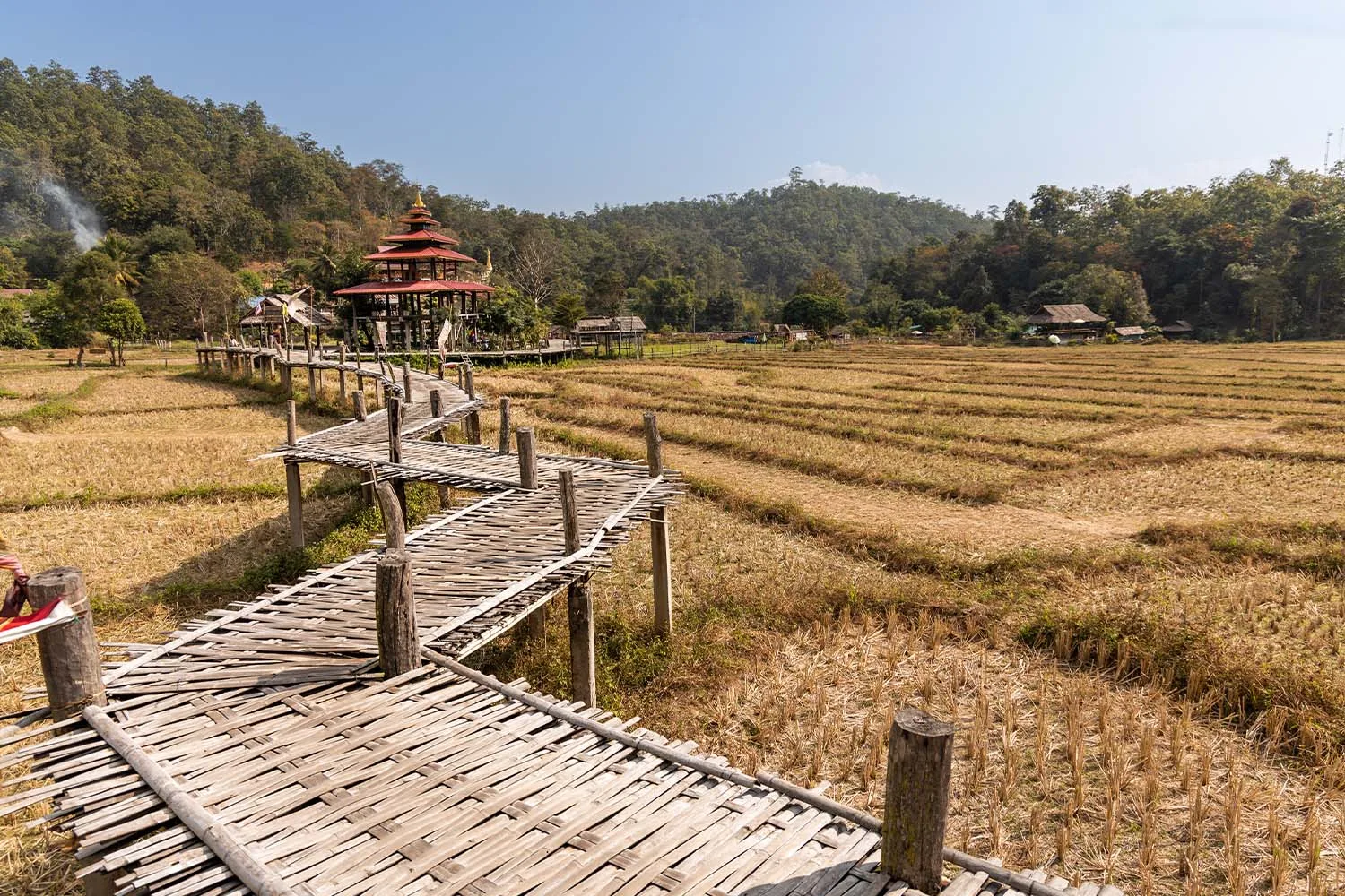 Pai Jungle Enduro + Mae Hong Son Loop 1864 Curves