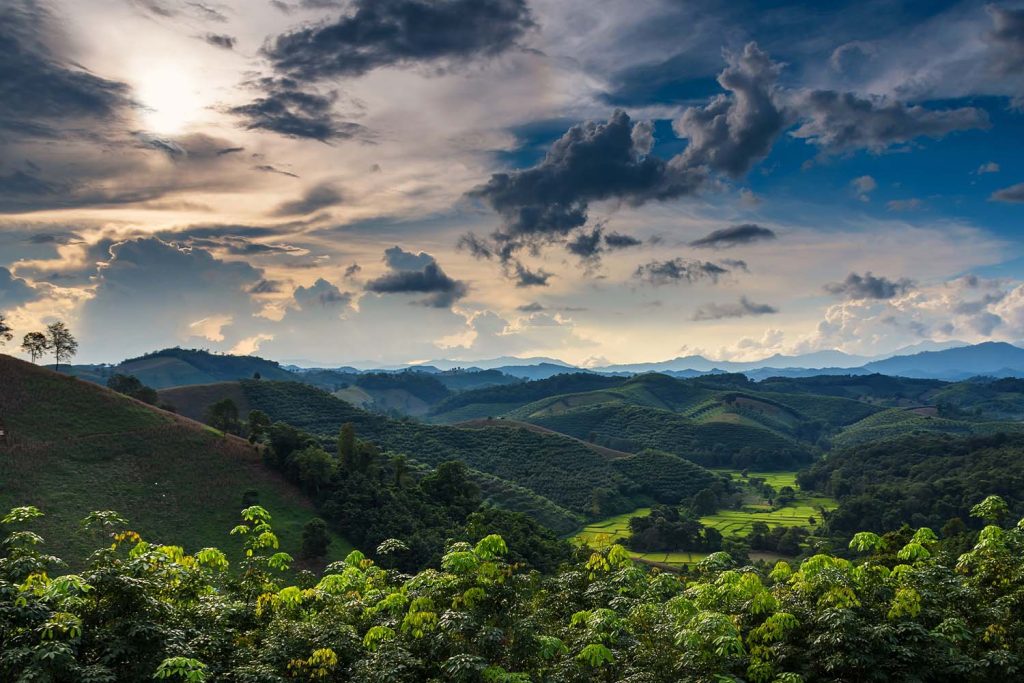 Thailand Landscape 1